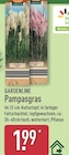 Pampasgras von Gardenline für 1,99 € bei ALDI Nord im Angebot Pampasgras von Gardenline im aktuellen ALDI Nord Prospekt