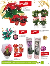 Cactus Angebote im Prospekt "JOYEUX NOËL & MEILLEURS PRIX" von Carrefour auf Seite 23