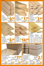 Holz Angebot im aktuellen Globus-Baumarkt Prospekt auf Seite 6