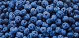 Peruan./ südafrik. Kulturheidelbeeren bei Kaufland im Mittweida Prospekt für 1,11 €