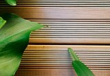Planche en pin vert KUHMO2 dans le catalogue Weldom
