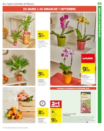 Prix et réduction Terreau dans le prospectus Carrefour Market en cours Offre Terreau dans le catalogue Carrefour Market du moment à la page 37