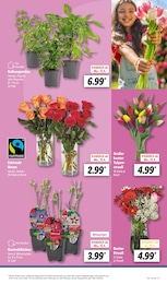 Deko-Blumen Angebot im aktuellen Lidl Prospekt auf Seite 9