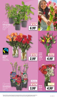 Schnittblumen Angebot im aktuellen Lidl Prospekt auf Seite 9