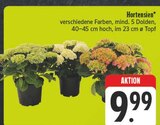 Hortensien Angebote bei EDEKA Altenburg für 9,99 €