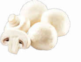 Champignons weiß im Angebot bei Netto Marken-Discount in Neuss Champignons weiß Angebote bei Netto Marken-Discount Neuss für 1,69 €