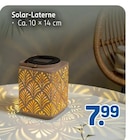 Solar-Laterne Angebote bei Rossmann Lüdenscheid für 7,99 €