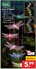Solar Windspiel Angebote bei Netto Marken-Discount Stendal für 5,99 €
