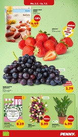 Erdbeeren im Penny Prospekt in Ludwigshafen Aktueller Penny Prospekt mit Erdbeeren, "Wer günstig will, muss Penny.", Seite 7