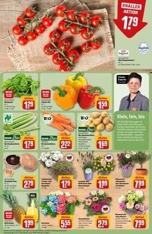 Tomaten im REWE Prospekt "Dein Markt" mit 26 Seiten (München)