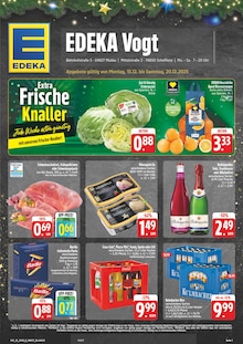 Aktueller EDEKA Prospekt "Wir lieben Lebensmittel!" Aktueller EDEKA Prospekt