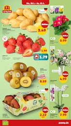 Erdbeeren Angebot im aktuellen Penny Prospekt auf Seite 3