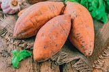 Patate douce dans le catalogue Delbard