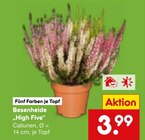 Besenheide High Five im Angebot bei Netto Marken-Discount in Duisburg Besenheide High Five Angebote bei Netto Marken-Discount Duisburg für 3,99 €