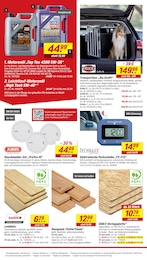 toom Baumarkt Tierbedarf im Prospekt 