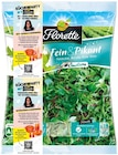 Salat Zart & Feurig oder Salat Fein & Pikant von Florette im aktuellen REWE Prospekt für 1,79 €