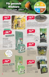 Sonnenblumenkerne im Kiebitzmarkt Prospekt in Bocholt Aktueller Kiebitzmarkt Prospekt mit Sonnenblumenkerne, "Sommer, Sonne, tolle Preise!", Seite 6