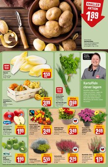 Gemüse im aktuellen REWE Prospekt (Ludwigshafen (Rhein)) Gemüse im REWE Prospekt "Dein Markt" mit 34 Seiten (Ludwigshafen (Rhein))