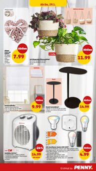 Blumentopf im Penny Prospekt "Wer günstig will, muss Penny." mit 46 Seiten (Jena)