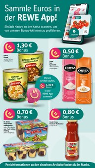 REWE Gutach Prospekt der aktuellen Woche, gültig von 12.05.2025 bis 17.05.2025 Aktueller REWE Gutach Prospekt "Dein Markt" mit 24 Seiten