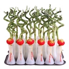 Lucky bambou spirale en promo chez Carrefour Colombes à 2,99 €