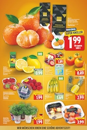 Ähnliche Erdbeerampel Angebote im Prospekt "Aktuelle Angebote" von E center Ähnliches Angebot bei E center in Prospekt "Aktuelle Angebote" gefunden auf Seite 3