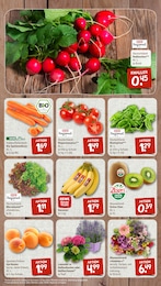 Salat Angebot im aktuellen nahkauf Prospekt auf Seite 2