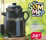 Einlegetopf  im aktuellen Netto mit dem Scottie Prospekt für 24,99 €