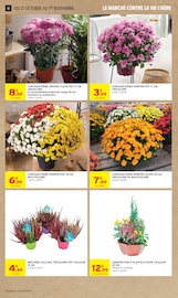 Promos Plante Verte dans le catalogue "-60% DE REMISE IMMÉDIATE SUR LE 2ÈME" de Intermarché Contact Plante Verte en promo dans le catalogue Intermarché Contact à la page 12