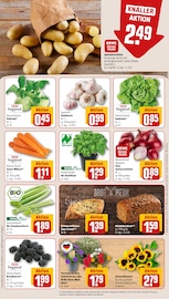 Ähnliche Erdbeerpflanzen Angebote im Prospekt "Dein Markt" von REWE in Siegen Ähnliche Angebote wie Erdbeerpflanzen im Prospekt "Dein Markt" auf Seite 7 von REWE in Siegen