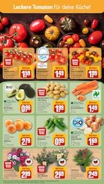 REWE Blumen im Prospekt REWE Blumen im Prospekt