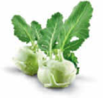 Aktuelle Kohlrabi Angebote bei Netto Marken-Discount in Leipzig Aktuelles Kohlrabi Angebot bei Netto Marken-Discount in Leipzig ab 0,55 €