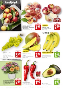 EDEKA Prospekt der Woche "Aktuelle Angebote" Seite 2, 11.08.2025 bis 16.08.2025 für Hohberg Aktueller EDEKA Prospekt "Aktuelle Angebote" Seite 2 von 8 Seiten für Hohberg