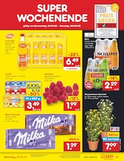 Milka im Netto Marken-Discount Prospekt in Coburg Aktueller Netto Marken-Discount Prospekt mit Milka, "Aktuelle Angebote", Seite 31
