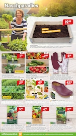 Gartenerde im Raiffeisenmarkt Prospekt in Dülmen Aktueller Raiffeisenmarkt Prospekt mit Gartenerde, "Wir leben Nähe", Seite 8