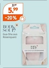 Gua-Sha Angebote von BODY & SOUL bei Müller Karlsruhe für 5,99 €