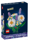 Aktuelles Gänseblümchen oder Kosmeen Angebot bei Rossmann in Essen ab 10,99 €