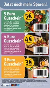 Aktueller REWE Prospekt für Soltau mit  Seiten