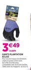 Gants Plantation ECLOZ - ECLOZ à 3,49 € dans le catalogue Delbard