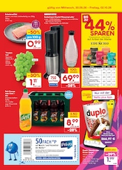 Kaffeepads im Netto Marken-Discount Prospekt in Hildesheim Aktueller Netto Marken-Discount Prospekt mit Kaffeepads, "Aktuelle Angebote", Seite 49