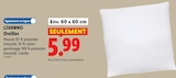 Oreiller - LIVARNO en promo chez Lidl Palaiseau à 5,99 €