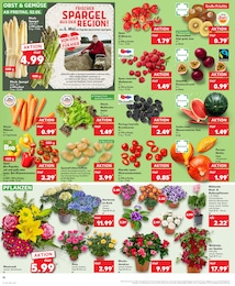 Rhododendron Angebot im aktuellen Kaufland Prospekt auf Seite 10