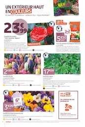 Prix et réduction Camélia dans le prospectus Jardiland en cours Offre Camélia dans le catalogue Jardiland du moment à la page 4