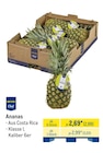 Ananas Angebote von Metro Chef bei METRO Oberhausen für 2,88 €