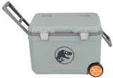 Carrefour Dole - Promo Glacière 45 L Promo Glacière 45 L à 69,99 € dans le catalogue Carrefour à Dole