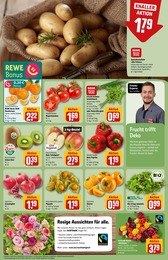 REWE Kräuter im Prospekt 