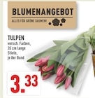 TULPEN Angebote bei Marktkauf Erkrath für 3,33 €