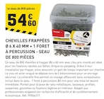 Chevilles frappées Ø 6 x 40 mm + 1 foret à percussion à Tout Faire dans Morteau Chevilles frappées Ø 6 x 40 mm + 1 foret à percussion à Tout Faire dans Morteau