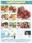 Fruits Et Légumes Fruits Et Légumes