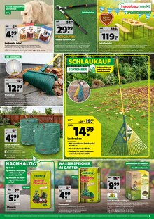 Rindenmulch im aktuellen Hagebaumarkt Prospekt (München) Rindenmulch im Hagebaumarkt Prospekt "KÖRBEWEISE HERBST-PREISE." mit 8 Seiten (München)